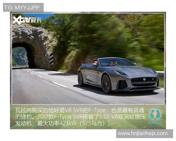 欧洲杯球星卡价格分析及收藏市场现状探讨